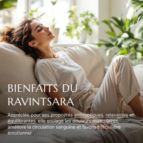 Huile essentielle de Ravintsara dans une routine bien-être quotidienne