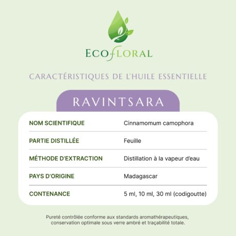 Diffusion d'huile essentielle de Ravintsara pour une atmosphère fraîche