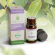 Huile essentielle de Ravintsara de Madagascar Ecofloral 100% pure et naturelle